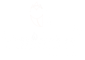 Logo blanc de La Chouette Allumette